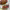 https://res.cloudinary.com/billionhands/image/upload/v1775167186/items/dituhmm7b916smyx7fad.jpg-2cover