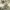 https://res.cloudinary.com/billionhands/image/upload/v1775167241/items/cgxcbpgutmcuxukyofqr.jpg-3cover