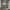 https://res.cloudinary.com/billionhands/image/upload/v1775167280/items/jltbfe4cuc1giknh2dea.jpg-3cover