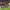 https://res.cloudinary.com/billionhands/image/upload/v1775167319/items/v7bvz6ko0rqlqvh5wwtp.jpg-0cover