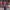 https://res.cloudinary.com/billionhands/image/upload/v1775167320/items/lxnxpatkmunagbddcwdw.webp-1cover
