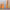https://res.cloudinary.com/billionhands/image/upload/v1775167473/items/xbstdva7bxnzezq3w02s.jpg-3cover