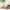 https://res.cloudinary.com/billionhands/image/upload/v1775167756/items/poolbyypcshkxrs1tbcb.jpg-3cover