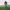 https://res.cloudinary.com/billionhands/image/upload/v1775167868/items/wkx2jvrc4zcq5bj1vzj6.jpg-1cover