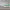 https://res.cloudinary.com/billionhands/image/upload/v1775167885/items/cwkai9hckll1f7ishj7d.png-0cover
