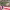 https://res.cloudinary.com/billionhands/image/upload/v1775167891/items/jkgdmbm0xcdz4cbpwamx.jpg-2cover