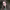 https://res.cloudinary.com/billionhands/image/upload/v1775167933/items/pw7l9skymdhq3nttcpvw.jpg-2cover