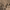 https://res.cloudinary.com/billionhands/image/upload/v1775168130/items/ihcajo8imfnkos7vejq5.jpg-0cover
