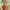 https://res.cloudinary.com/billionhands/image/upload/v1775168151/items/i2cjwi5pwhqv5jf7hqxw.gif-3cover