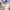 https://res.cloudinary.com/billionhands/image/upload/v1775168488/items/oe0rtxfkhttuim3jevdh.webp-1cover