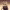 https://res.cloudinary.com/billionhands/image/upload/v1775169086/items/ln4fpritnoppd1pbjlew.jpg-0cover
