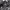 https://res.cloudinary.com/billionhands/image/upload/v1775169801/items/ykfwqpvkuieli1wgwo1r.jpg-1cover