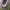 https://res.cloudinary.com/billionhands/image/upload/v1775169804/items/m8tzhrpd9yvnbl2xfecp.webp-3cover