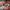 https://res.cloudinary.com/billionhands/image/upload/v1775169807/items/kwkqxgpzmo92ladkadkk.webp-0cover