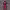 https://res.cloudinary.com/billionhands/image/upload/v1775169880/items/z1uuetmihhfupojt5iaz.jpg-2cover