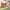 https://res.cloudinary.com/billionhands/image/upload/v1775169911/items/gxxwkotjhtdidfoi4jil.jpg-2cover