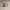 https://res.cloudinary.com/billionhands/image/upload/v1775169915/items/pje3deejansoaotbjbma.webp-1cover