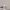 https://res.cloudinary.com/billionhands/image/upload/v1775169936/items/cpnnkzdipxpc4vunchye.png-2cover