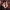 https://res.cloudinary.com/billionhands/image/upload/v1775169936/items/ipr29pzcftgufcy84hid.webp-2cover