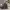 https://res.cloudinary.com/billionhands/image/upload/v1775169976/items/onkceb9ibmjjlu16l4me.jpg-2cover