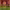https://res.cloudinary.com/billionhands/image/upload/v1775170038/items/jmfly9dodxexzagyxvx3.jpg-2cover