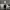 https://res.cloudinary.com/billionhands/image/upload/v1775170166/items/x4mlzkzwqskoxuldxmrw.jpg-2cover