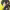 https://res.cloudinary.com/billionhands/image/upload/v1775170168/items/dld6a9lgxugqylmxgsam.jpg-3cover