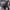 https://res.cloudinary.com/billionhands/image/upload/v1775170169/items/bv95rqggb7rbzweah4q1.avif-2cover