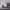 https://res.cloudinary.com/billionhands/image/upload/v1775170253/items/i4rmxziz6hdsj5r34a6r.webp-3cover
