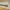 https://res.cloudinary.com/billionhands/image/upload/v1775170255/items/fc2lvhiy2avnewsakdlv.jpg-2cover