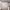 https://res.cloudinary.com/billionhands/image/upload/v1775170273/items/efzagrfxjui83f81w5p9.png-3cover