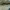 https://res.cloudinary.com/billionhands/image/upload/v1775170294/items/gyhwpfds2e6ynvdulkbh.jpg-0cover