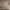 https://res.cloudinary.com/billionhands/image/upload/v1775170300/items/aq0ddspvt14upsdeu8qt.jpg-0cover