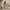 https://res.cloudinary.com/billionhands/image/upload/v1775170302/items/oj20avazhqq4z42hymj8.jpg-3cover