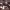 https://res.cloudinary.com/billionhands/image/upload/v1775170400/items/d1zkpoblevfkzyjrfvjp.jpg-1cover