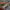 https://res.cloudinary.com/billionhands/image/upload/v1775170411/items/e8zmoj4ymshrjcik7xpu.jpg-3cover