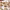 https://res.cloudinary.com/billionhands/image/upload/v1775170784/items/kcqnvlqnecdb6henzgqw.jpg-1cover