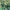 https://res.cloudinary.com/billionhands/image/upload/v1775170835/items/swjpsolkvhhtew1ynjh9.jpg-2cover