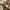 https://res.cloudinary.com/billionhands/image/upload/v1775171044/items/lbmmlnfahvmmo7huwrsq.webp-3cover