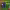 https://res.cloudinary.com/billionhands/image/upload/v1775172254/items/kvati4q35ewigc1iagic.jpg-2cover
