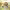 https://res.cloudinary.com/billionhands/image/upload/v1775172256/items/c9uwrhjurxqa5ghjns5v.jpg-2cover