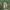 https://res.cloudinary.com/billionhands/image/upload/v1775172268/items/gktz6hyxqxyhes1igw50.jpg-0cover