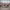 https://res.cloudinary.com/billionhands/image/upload/v1775172291/items/lfb2tbndegkncyl9k40r.webp-2cover