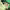 https://res.cloudinary.com/billionhands/image/upload/v1775173427/items/iyv12wkigqnsmzdtdpwl.avif-1cover