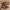 https://res.cloudinary.com/billionhands/image/upload/v1775174330/items/j3lkmy1srdl1fohkjs4b.webp-2cover
