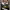 https://res.cloudinary.com/billionhands/image/upload/v1775175099/items/fpikqtvehxea0tztynvq.jpg-2cover