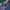 https://res.cloudinary.com/billionhands/image/upload/v1775175138/items/qe2nnvbbfzjwlb7m6zor.jpg-2cover