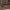 https://res.cloudinary.com/billionhands/image/upload/v1775175342/items/dbxflwor7vzo7pjpcudk.png-1cover
