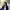 https://res.cloudinary.com/billionhands/image/upload/v1775175644/items/v29znvbxlu8nnbdf6rhy.jpg-1cover
