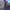 https://res.cloudinary.com/billionhands/image/upload/v1775177477/items/lrdxv1e7ljiz870sbxu9.webp-1cover